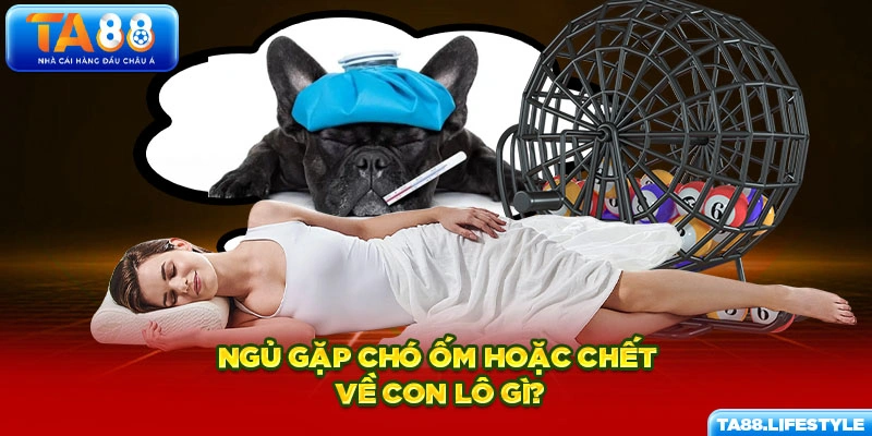 Ngủ gặp chó ốm hoặc chết về con lô gì?
