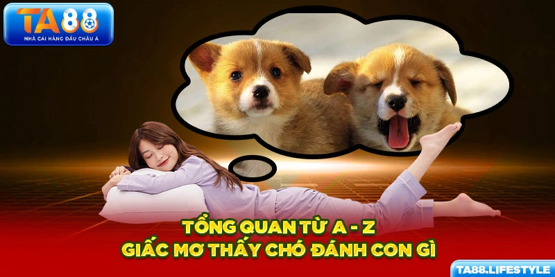 Tổng quan từ A - Z giấc mơ thấy chó đánh con gì